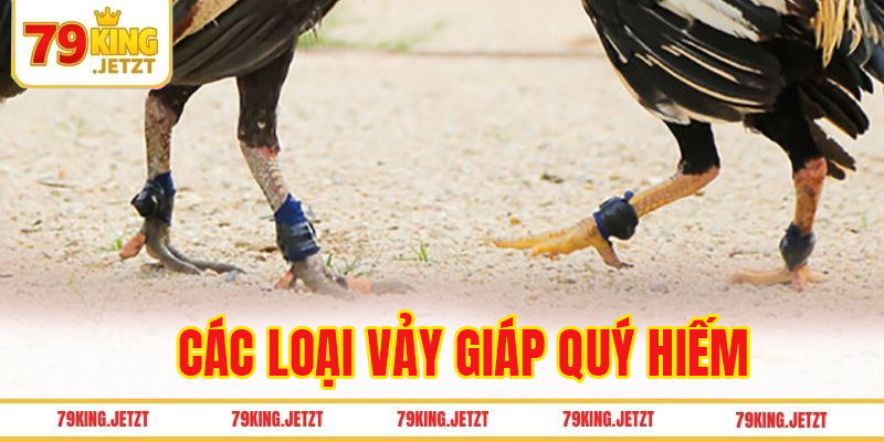 Các loại vảy giáp quý hiếm và ý nghĩa trong trận đấu
